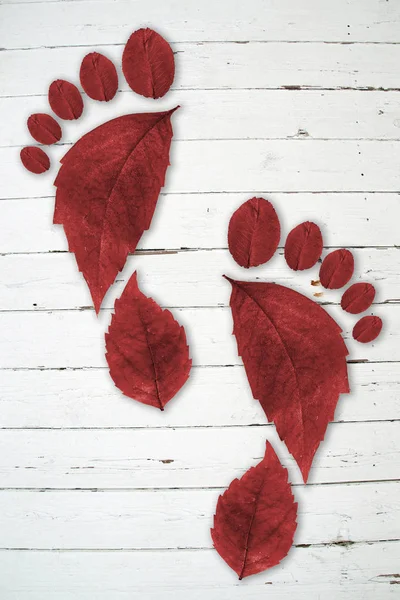 Footprint Imprint Composed Leaves — Stock Photo, Image