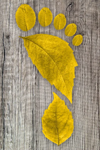 Fußabdruck Abdruck Aus Blättern — Stockfoto