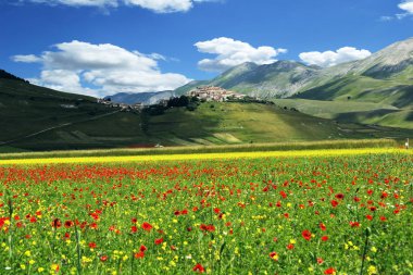 Castelluccio di Norcia İtalya