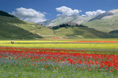 Castelluccio di Norcia İtalya
