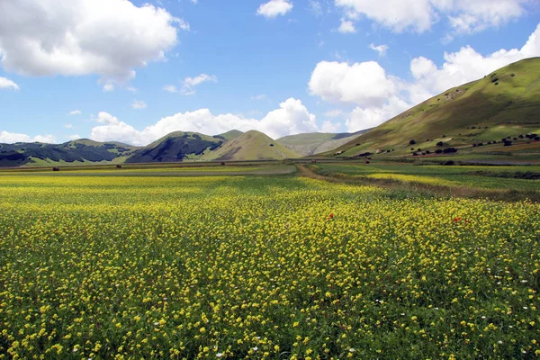 Castelluccio Norcia Italien — Stockfoto