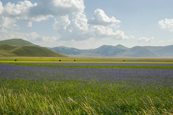 Castelluccio Norcia Italie — Photo