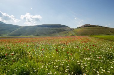 Castelluccio di Norcia İtalya