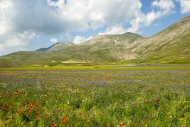 Castelluccio di Norcia İtalya
