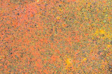 Deliler Corinaldo İtalya yarış sırasında çekilen makro