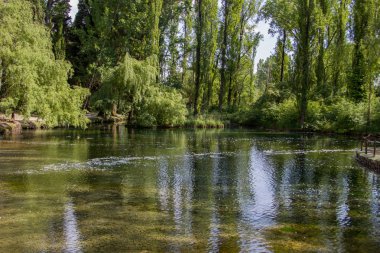 Clitunno Nehri'nin bahar Umbria, İtalya 