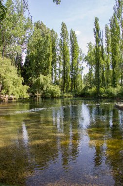 Clitunno Nehri'nin bahar Umbria, İtalya 