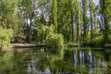 Clitunno Nehri'nin bahar Umbria, İtalya 