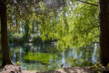 Clitunno Nehri'nin bahar Umbria, İtalya 