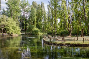 Clitunno Nehri'nin bahar Umbria, İtalya 