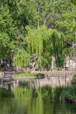 Clitunno Nehri'nin bahar Umbria, İtalya 
