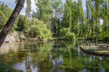 Clitunno Nehri'nin bahar Umbria, İtalya 