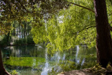Clitunno Nehri'nin bahar Umbria, İtalya 