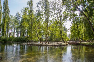 Clitunno Nehri'nin bahar Umbria, İtalya 