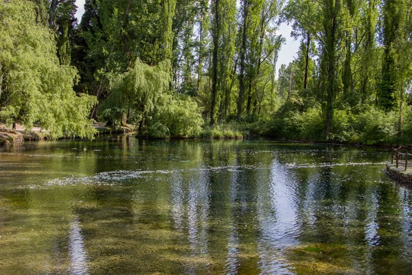 Clitunno Nehri'nin bahar Umbria, İtalya 