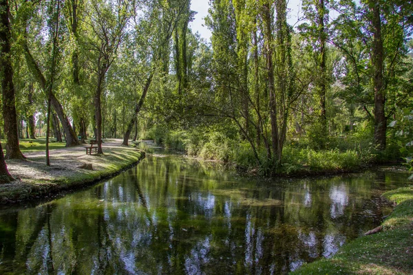 Manantial Del Río Clitumnus Umbría Italia —  Fotos de Stock