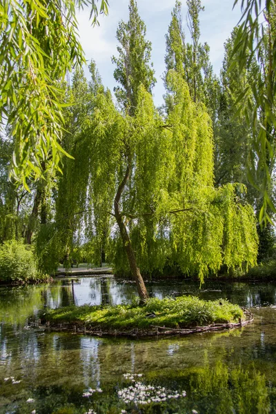 Clitumnus Floden Våren Umbrien Italien — Stockfoto