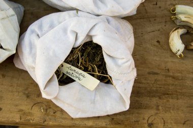 Herbalist simya için baharat 