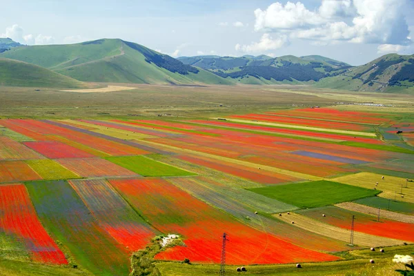 Castelluccio di Norcia İtalya