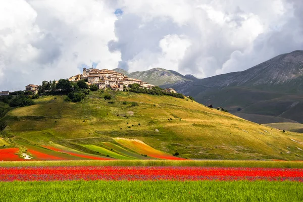 Castelluccio Norcia Italia —  Fotos de Stock