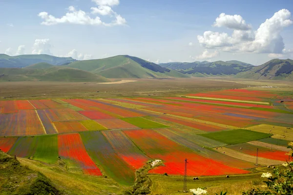 Castelluccio Norcia Italien — Stockfoto