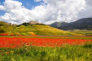 Castelluccio di Norcia İtalya