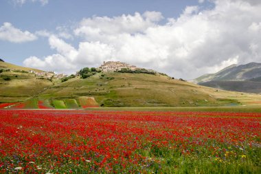 Castelluccio di Norcia İtalya