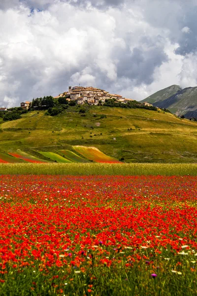 Castelluccio Norcia Italien — Stockfoto