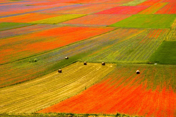 Castelluccio Norcia Italia — Foto Stock