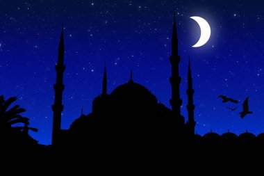 Nuruosmaniye Camii siluet, Istanbul 