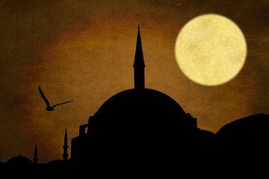 Nuruosmaniye Camii siluet, Istanbul 