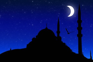 Nuruosmaniye Camii siluet, Istanbul 