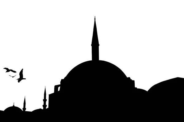 Nuruosmaniye Moskee Silhouet Istambul — Stockfoto