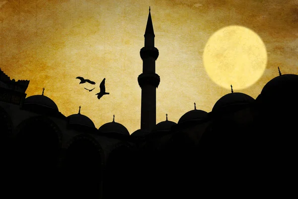 Nuruosmaniye Moskee Silhouet Istambul — Stockfoto