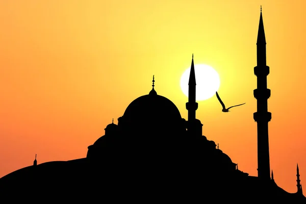 Silhouette Mosquée Nuruosmaniye Istambul — Photo