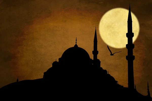 Nuruosmaniye Camii siluet, Istanbul 