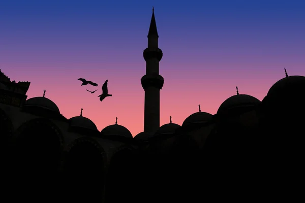 Sziluettjét Nuruosmaniye Mecset Istambul — Stock Fotó