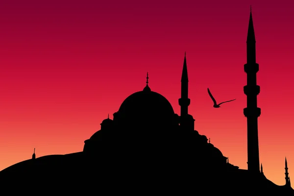 Meczet Nuruosmaniye Sylwetka Istanbul — Zdjęcie stockowe
