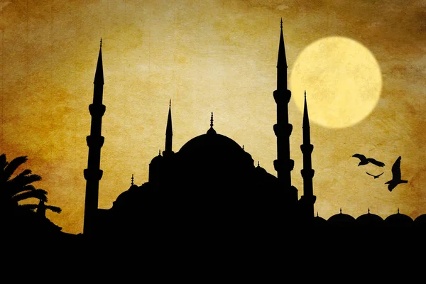 Silueta Moscheii Nuruosmaniye Istambul — Fotografie, imagine de stoc