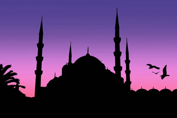 Silhouette Mosquée Nuruosmaniye Istambul — Photo