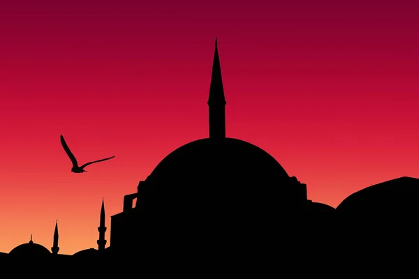 Silhouette Mosquée Nuruosmaniye Istambul — Photo