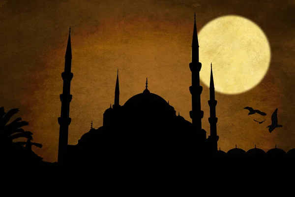 Nuruosmaniye Mezquita Silueta Estambul —  Fotos de Stock