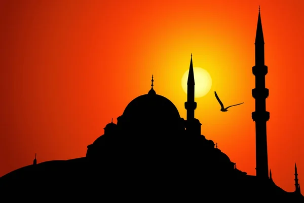 Nuruosmaniye Mezquita Silueta Estambul — Foto de Stock