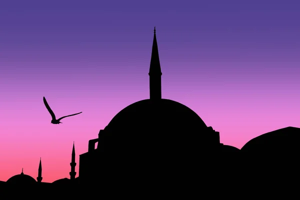 Silhouette Mosquée Nuruosmaniye Istambul — Photo