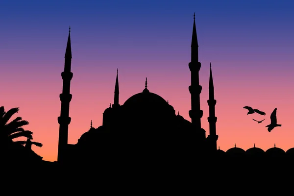 Silhouette Mosquée Nuruosmaniye Istambul — Photo