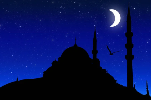 Silhouette Moschea Nuruosmaniye Istambul — Foto Stock