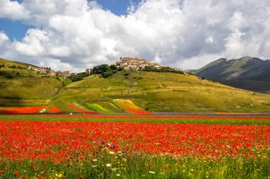 Castelluccio di Norcia İtalya