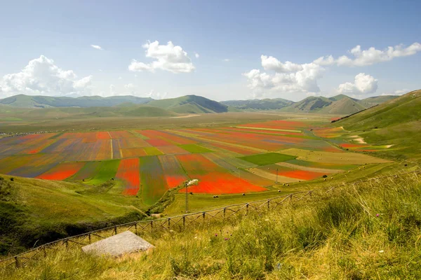 Castelluccio Norcia Italien — Stockfoto