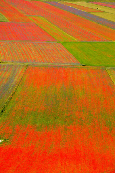 Castelluccio di Norcia Italy