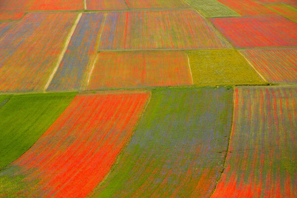 Castelluccio di Norcia Italy